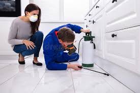 Best Organic or Eco-Friendly Pest Control  in Port St Lucie, FL